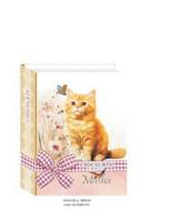 Masha Красива кутия с белгийски бонбони във формата на книга - Коте 85 гр.